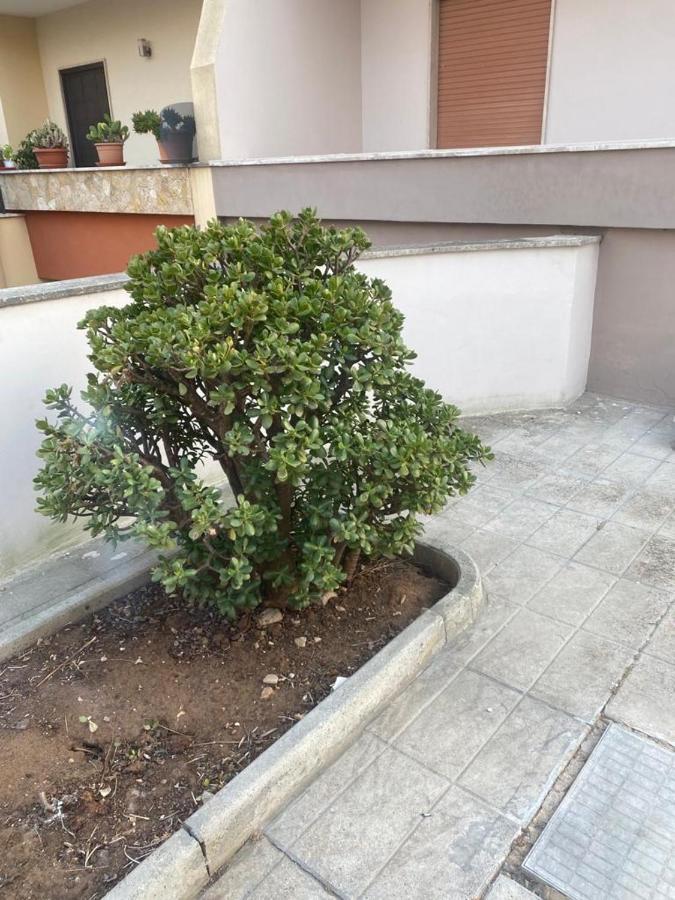Giardino Massari